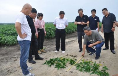 轉載‖大連凱飛化學股份有限公司一行到尖山農場有限公司參觀考察
