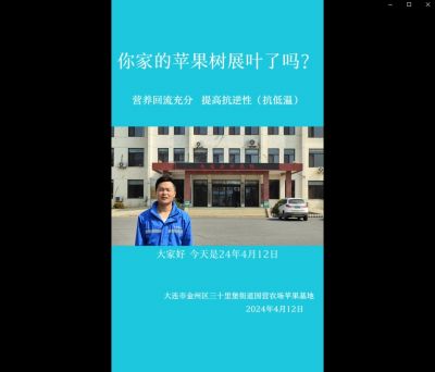 提高抗逆性、營養(yǎng)回流：大連市金州區(qū)三十里堡街道（2024.4.12）